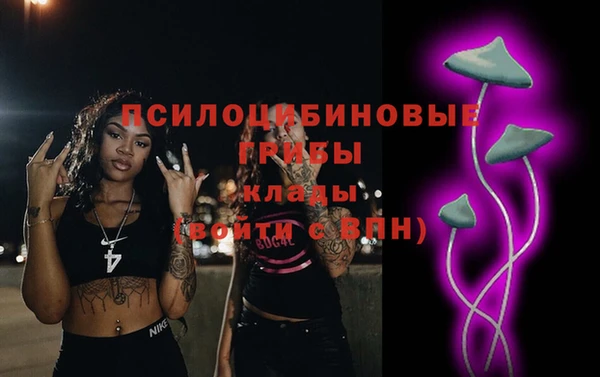 марки lsd Богородицк