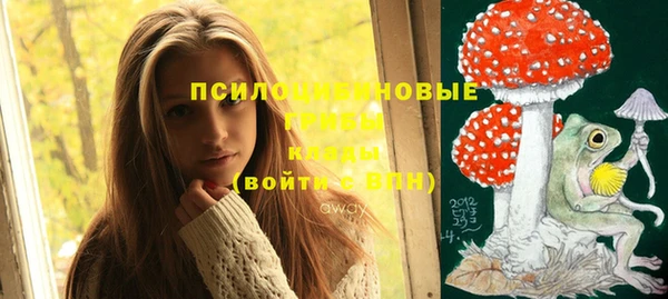 марки lsd Богородицк
