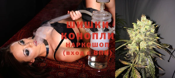 дурь Богданович