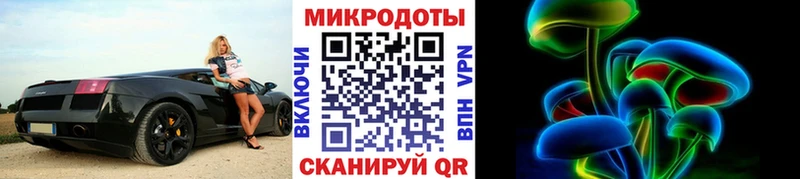 закладки Новосибирск Псилоцибиновые грибы Psilocybine cubensis